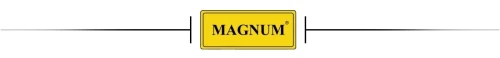 spawarka-inwerterowa-mig-mag-285-dual-puls-synergia-lcd-magnum (9).jpg