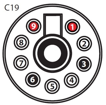 C19.jpg